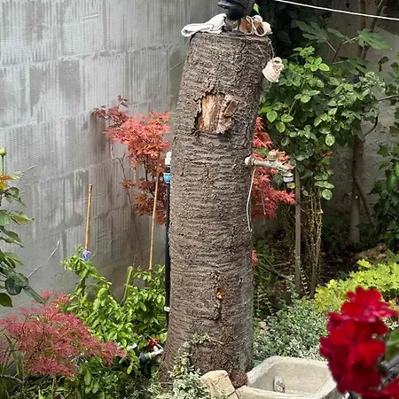 Апартамент 